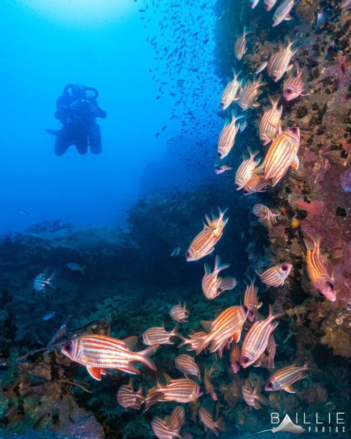 Hydronauts Diving Resort - Тау Экстерьер фото