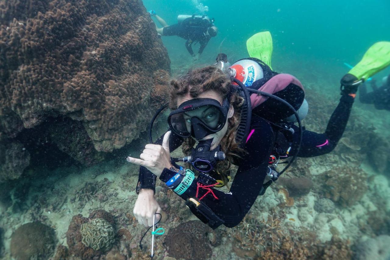 Hydronauts Diving Resort - Тау Экстерьер фото